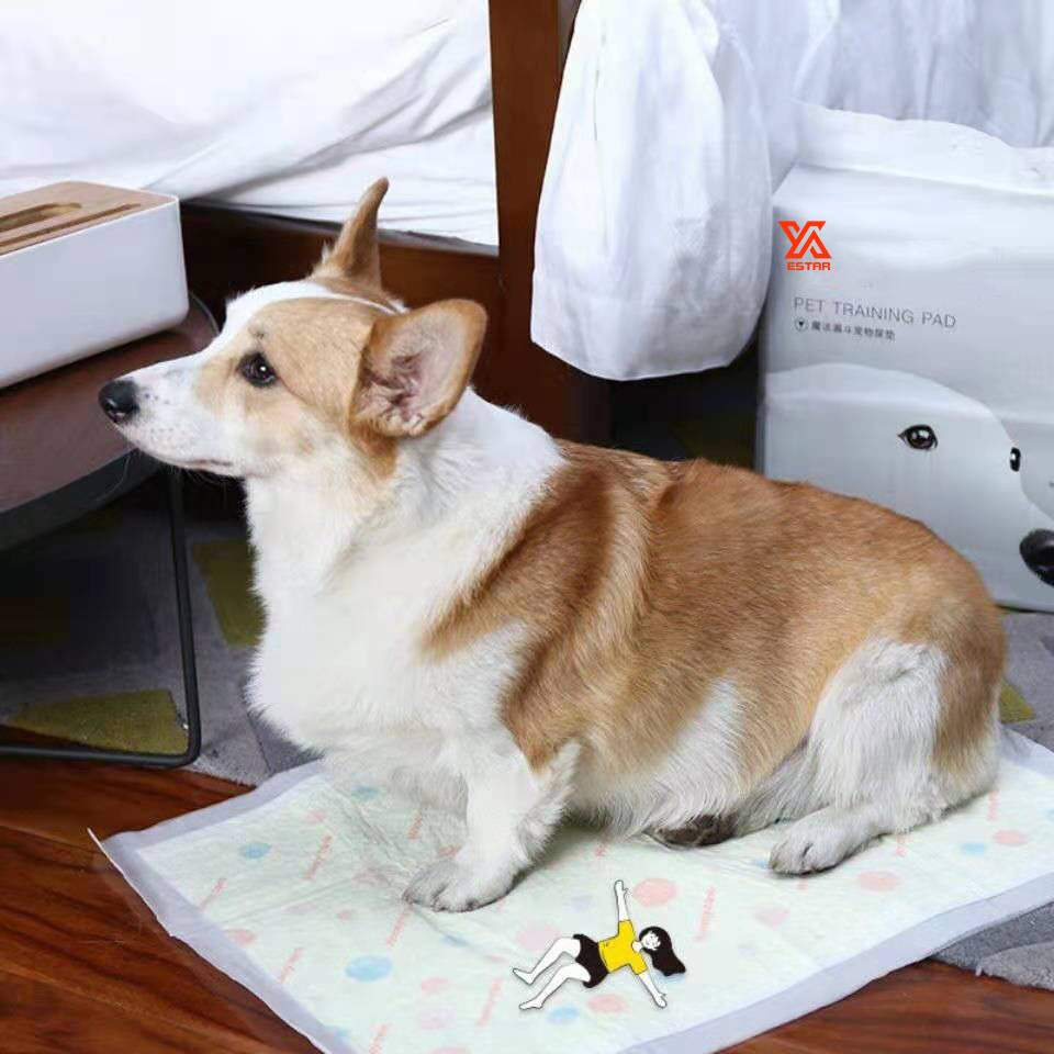 China factory price High Absorbent Disposable puppy training pads