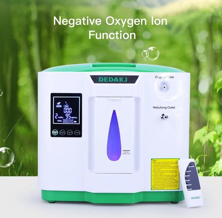2-9L High Quality German Brand DE-2AW 2-9L Flow Adjustable Double Inhalation Filter Portable Oxygen Concentrator With Nebulizer