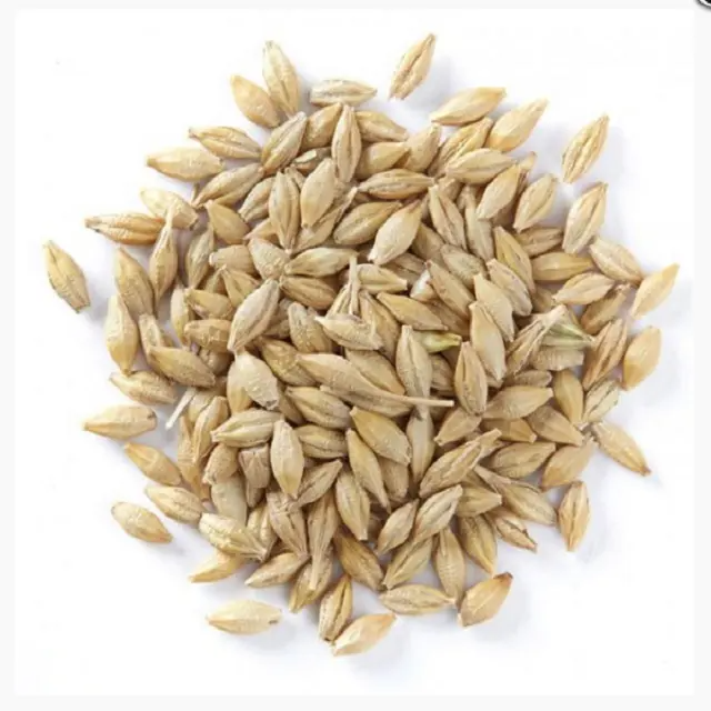 Factory Wholesale Barely Animal Feed Top-Grade Yellow Beans Packed with High Protein Customized Packaging