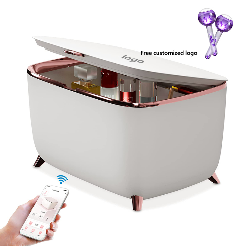 Skincare Cosmetology Vanity Fridges 10 Liter Cosmetics Frigorifero With Temperature Control for Storing Beauty Products Perfume