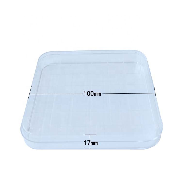 Laboratory 100 * 100 square disposable plastic petri dish with cover