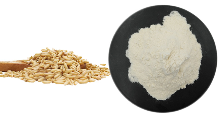 Oatmeal Beta-Glucan China Supplier Wholesale Price High Quality Oatmeal Beta-Glucan Oat Protein Powder