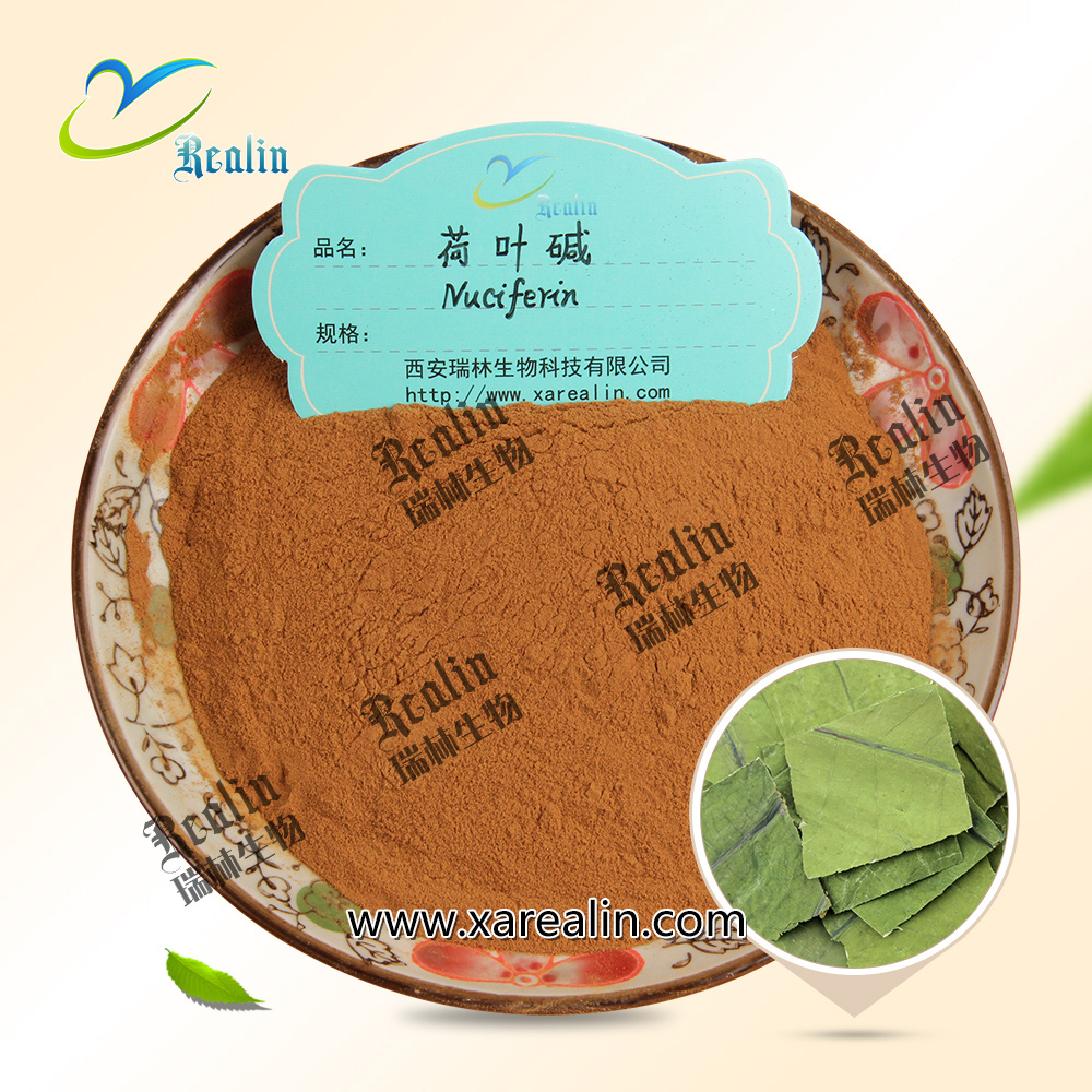 Natural Plant Extract Weight Loss Materials 2% 4% Nuciferine 10:1 Lotus Leaf Extract