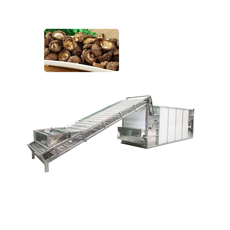 efficient fruit lug washer mango drying machine automated dry fruit machine