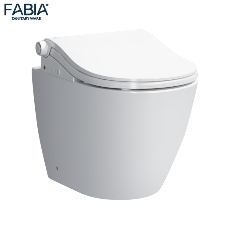 Sanitary Ware Ceramic Smart Toilet Intelligent Automatic