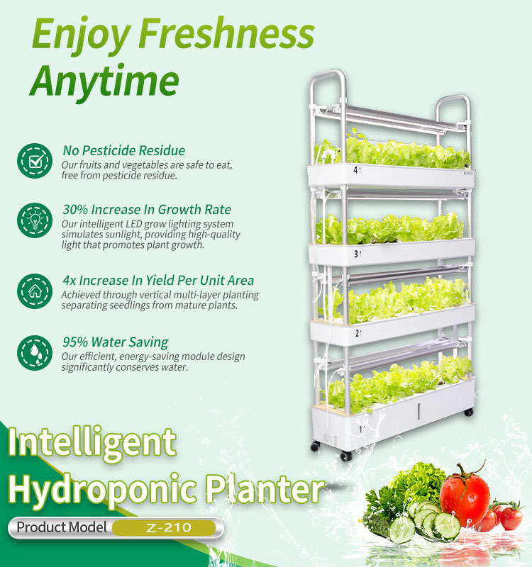 Agricultural indoor NFT Vertical Hydroponic Growing System Strawberry Planting Equipment for Vegetable
