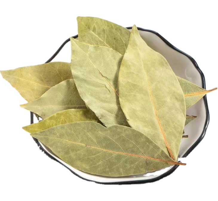 Well-known at Home and Abroad Health Herbs Flake Shape Myrcia bay leaves