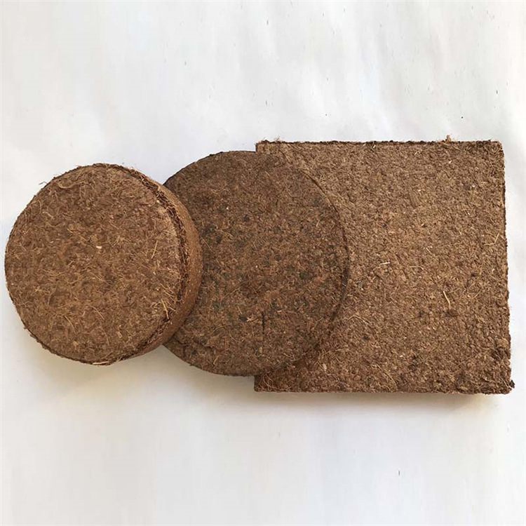 50mm Bingfeng Peat Pellets Seedling Soil Block Professional For Plant Seedling Coco Peat Pellets