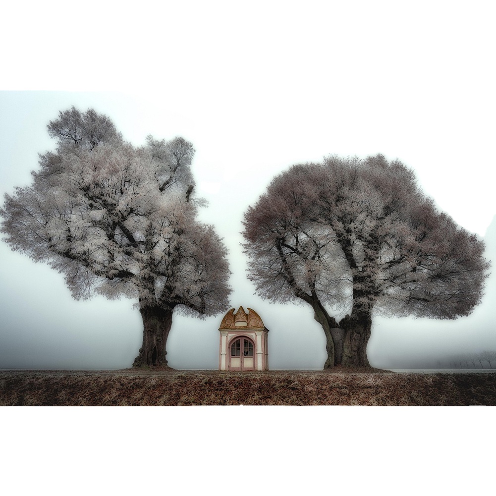 Popular wasteland cherry trees and wooden landscapes diamond painting