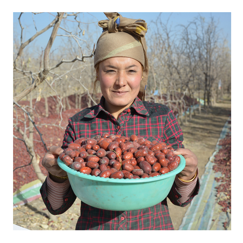 Низкая цена сухие даты органическое сырье даты красный jujube фрукты