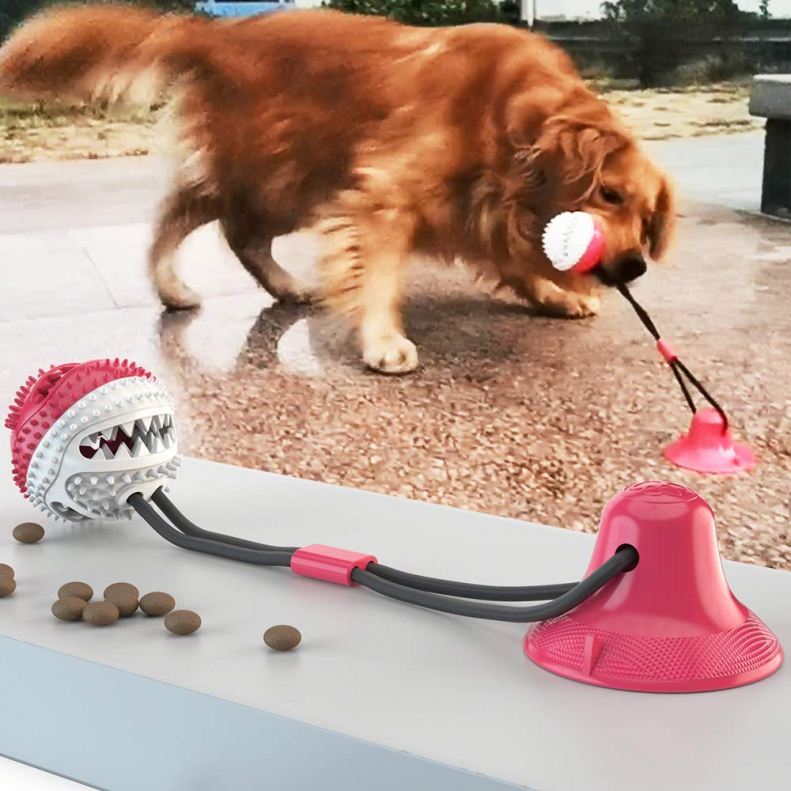 Pet Molar Bite Multifunction Dog Toy Interactive Ropes Toys Self-Playing Rubber Chew Ball With Suction Cup