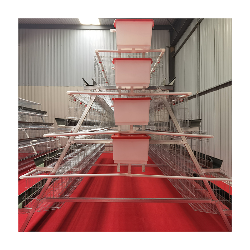poultry farm layer egg chicken cage in south africa