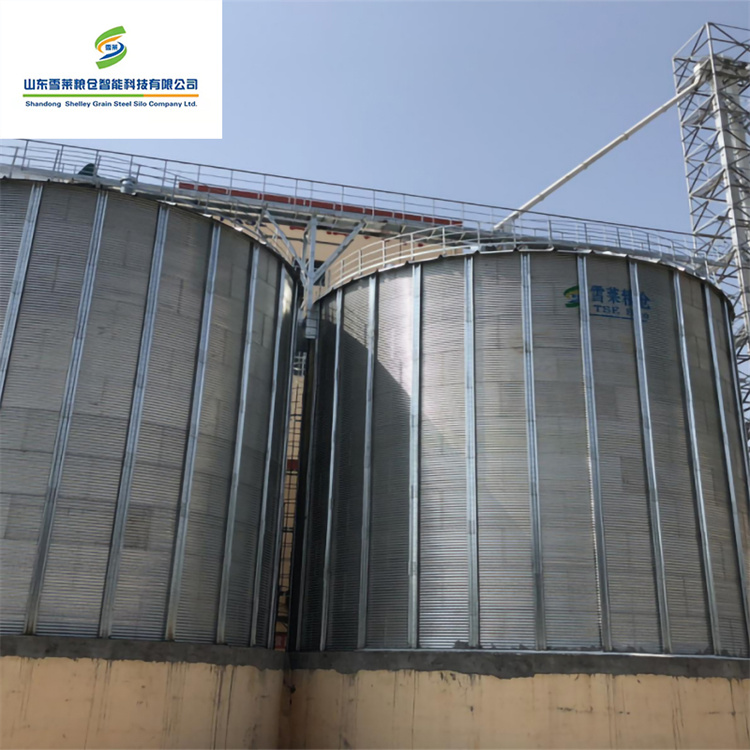 Оптовая продажа, 250 тонн, небольшой силос с плоским дном для рисовой фермы