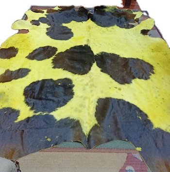 Cow Leather With Hair On Dyed Color