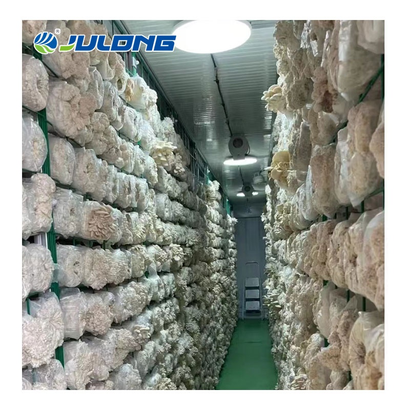 40HQ Container greenhouse growing shipping container farm vertical farming equipments for mushroom