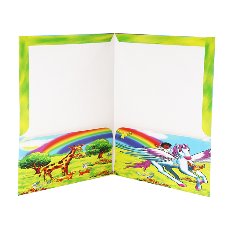 Custom Document Presentation A4 Size Cardboard Paper Expanding Decorative File Folder