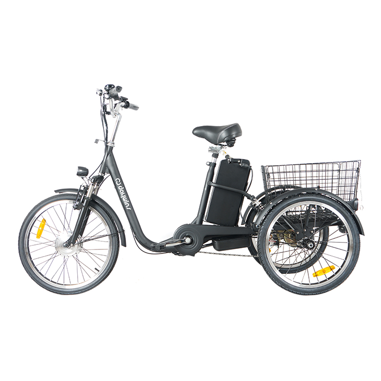 Made in China Italian electric tricycle 36v250w electric tricycle with basket Electric tricycle freight car Scooter