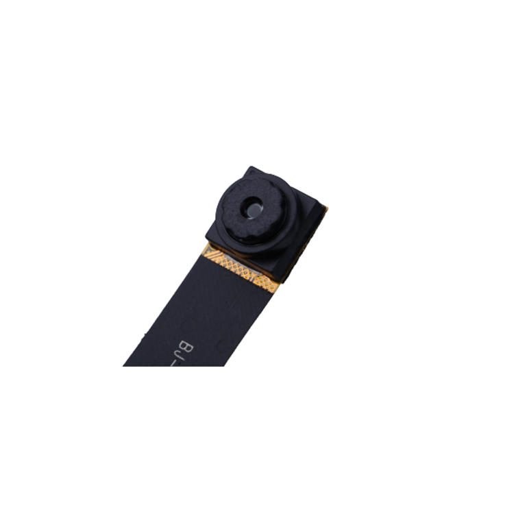 Merchant promotion pure color classic design 5 megapixel cell phone fpc camera module