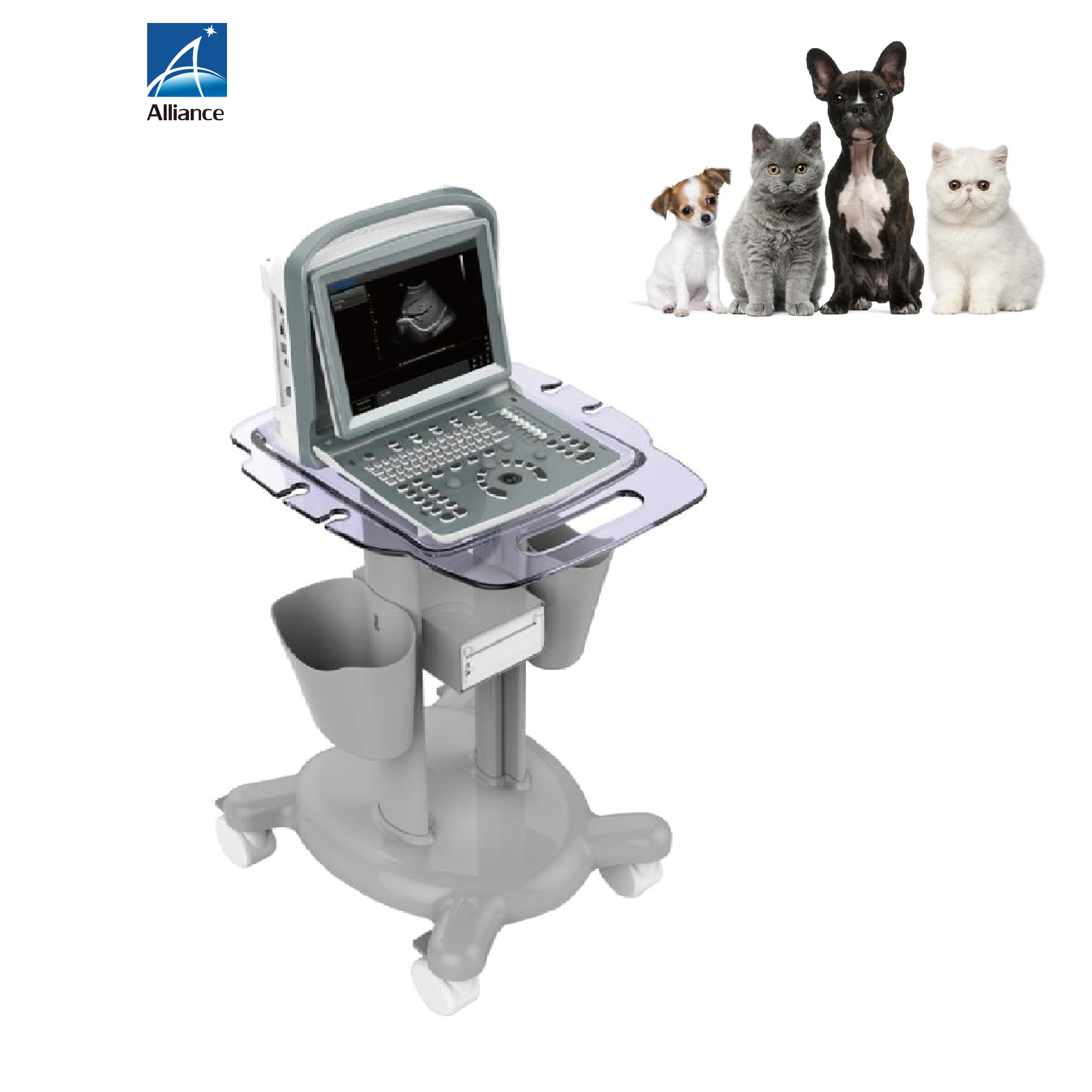 Chison ECO1VET портативная эхография B & W ветеринарная ультразвуковая машина USG MSK живот сосудистая Ecografia
