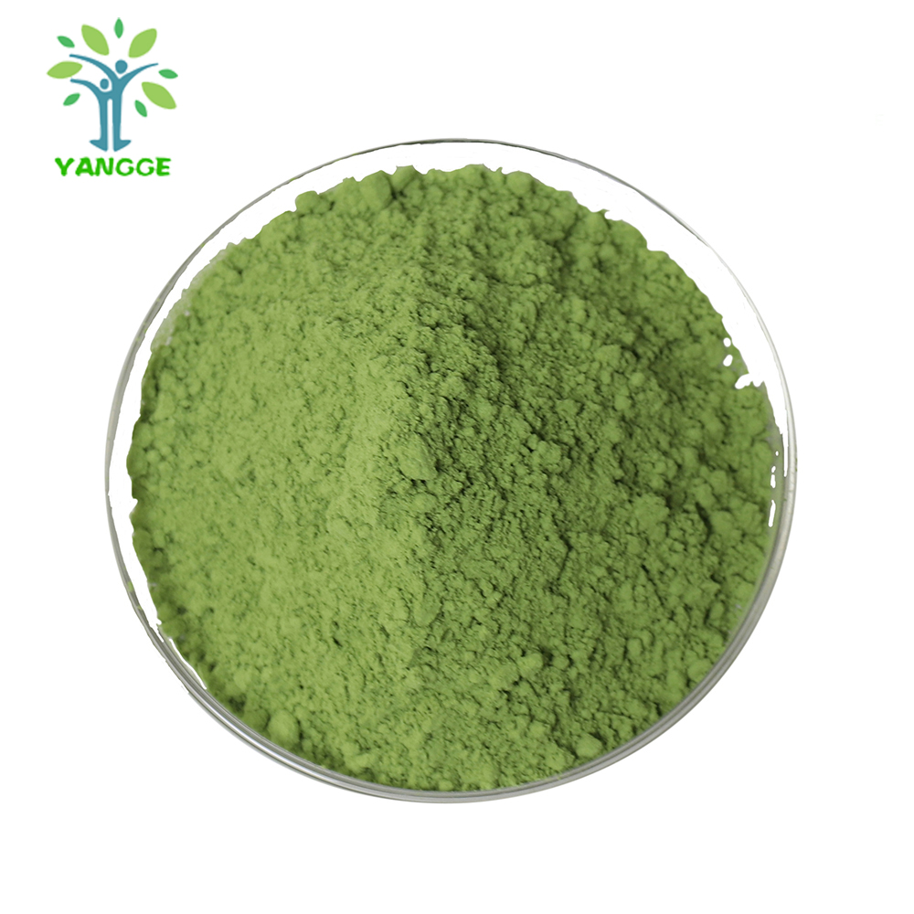 Китайская фабрика питания оптовая органический японский Matcha зеленый чай порошок