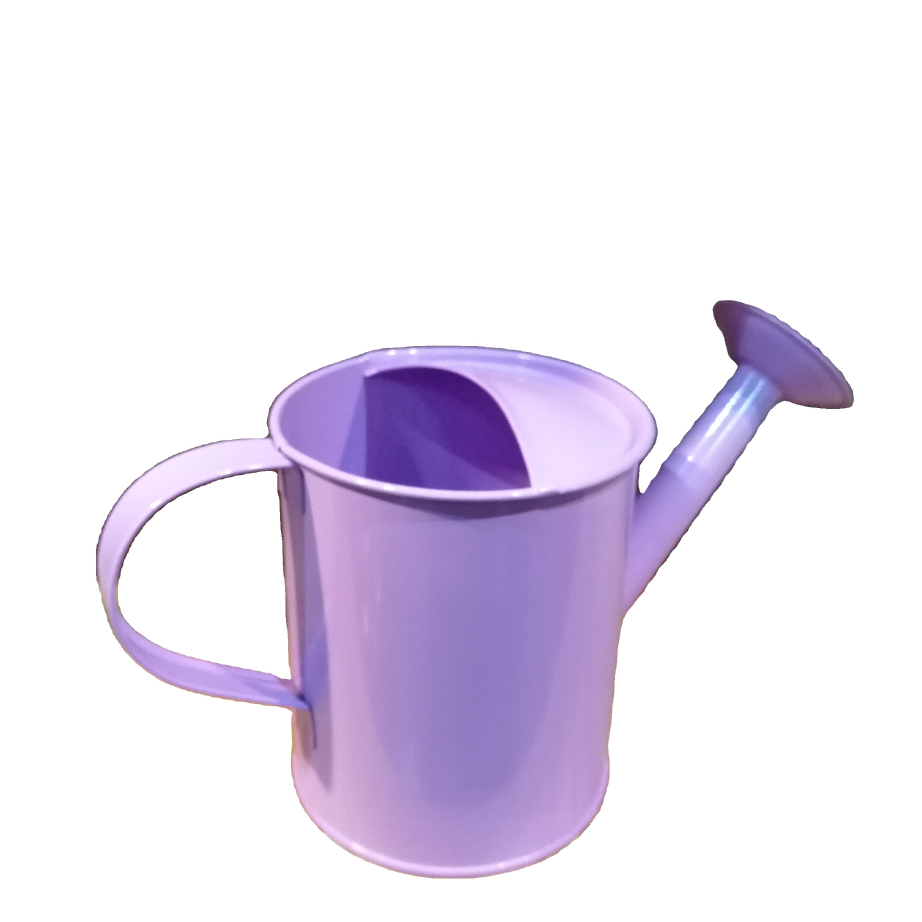 Metal Garden decorative watering can watering pot