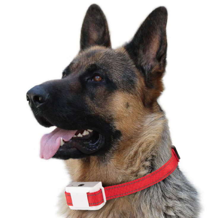 Amazon Top Seller Producto mas Vendido Dog Bark Control Collar Dog Training Collar with CE Certification Testing