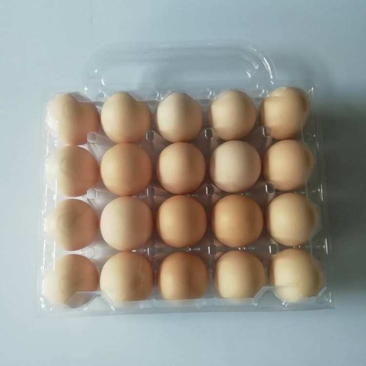 20 cells plastic eggs trays with handle