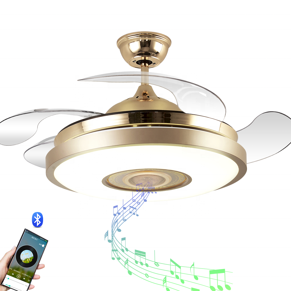 110V 220V 42inch fan ceiling fan hidden blades and bluetooth