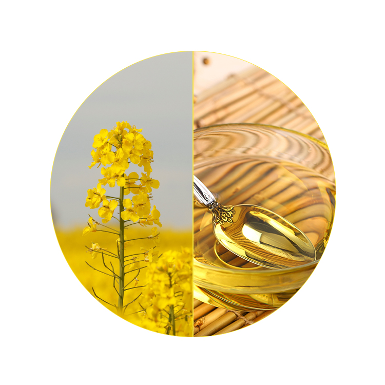Экологичные натуральные NON-GMO канадский изысканный пищевых растительных масел с низким жиров растительное масло пищевое масло 900 кг
