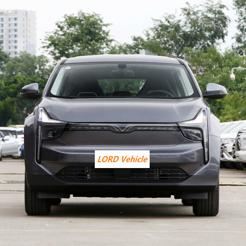 2021 самый продаваемый Китайский высокоскоростной FWD электрический внедорожник автомобиль NETA U EV дешевая цена с новым дизайном и большим размером
