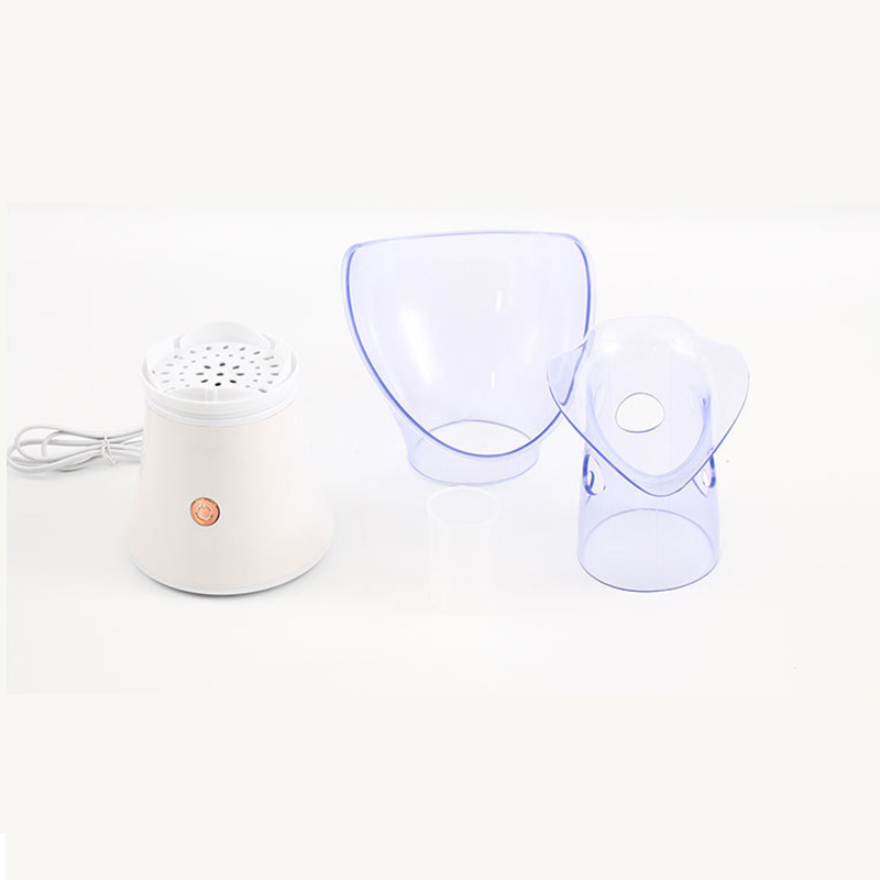 Hot selling multifunction portable travel beauty home use facial steamer