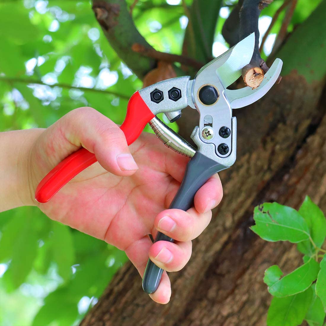 Hot Sale China Stainless Steel Hand Tool Home Garden Secateurs Plant Pruning Shears Pruners
