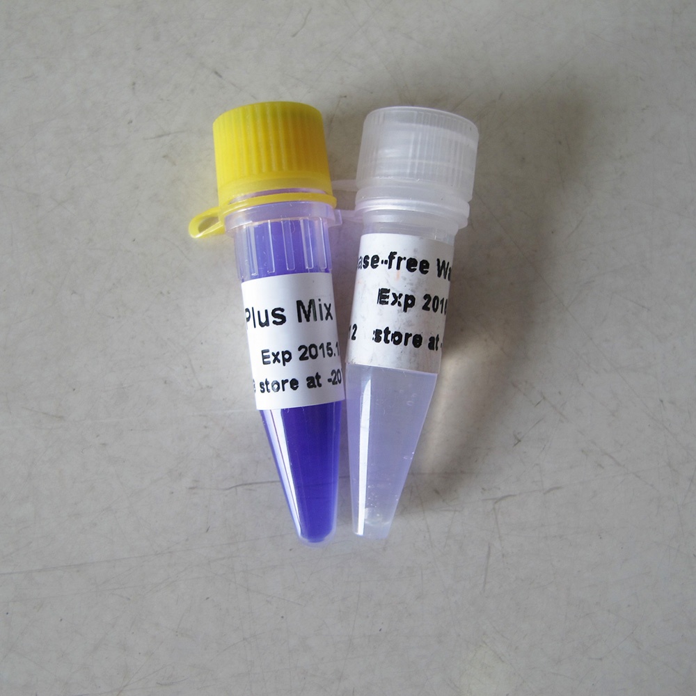 2x Plus Mix, PCR Master Mix