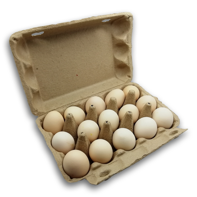 Compostable custom color paper pulp 15 cells chicken egg carton