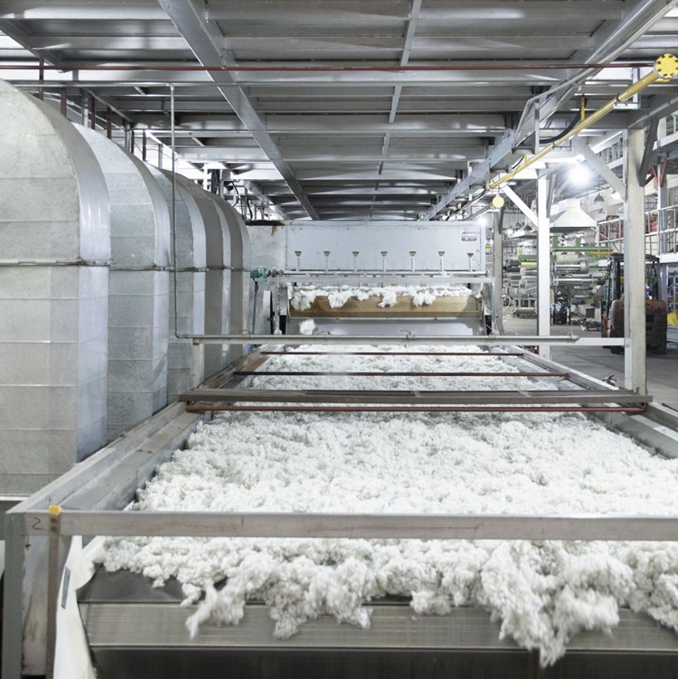 Hollow Conjugate Siliconised Fiber Psf Hcs 3D 7D 15D 32Mm 51Mm 64Mm Low Melt Polyester Synthetic Fiber