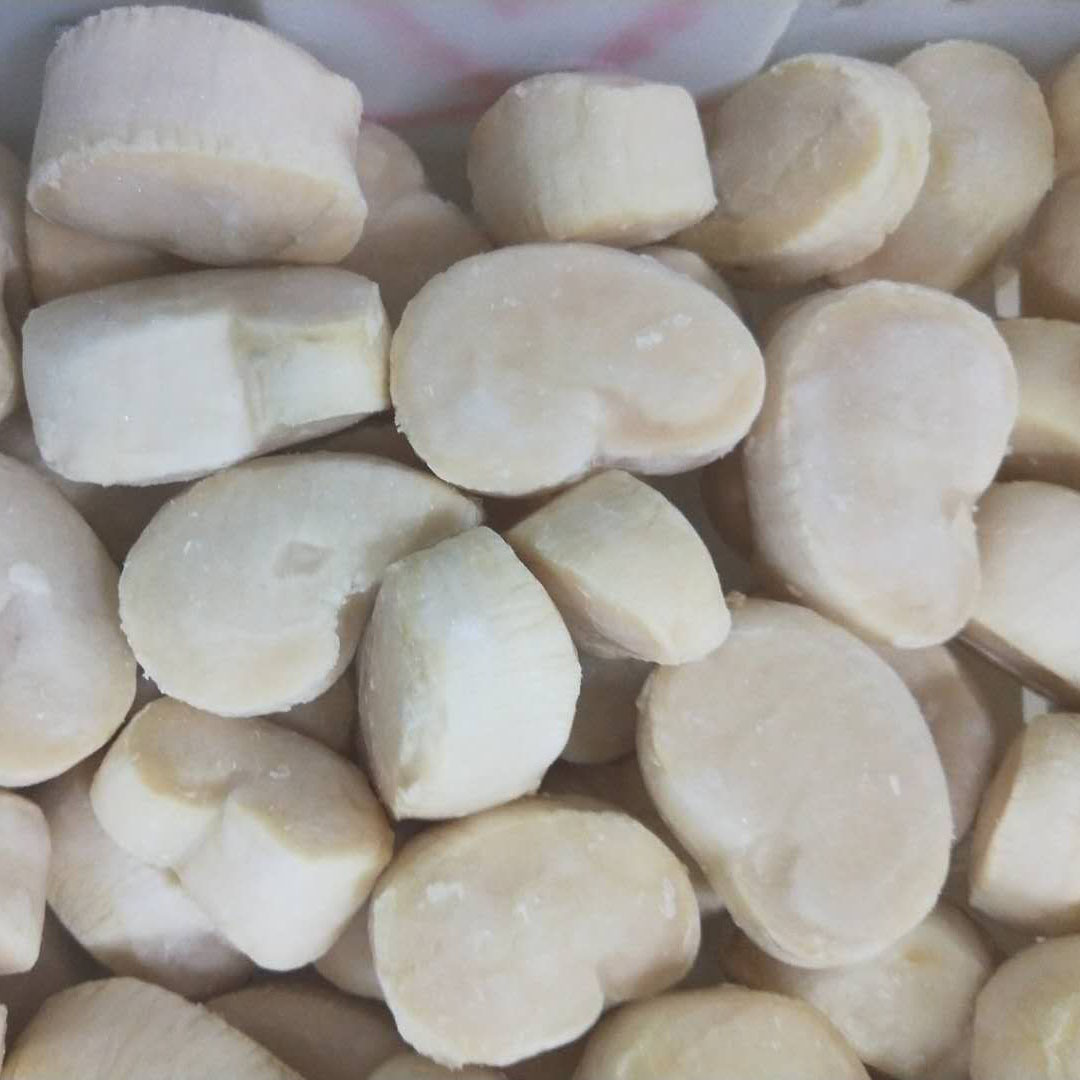 Замороженная ручка, ракушка, мясо гребешок