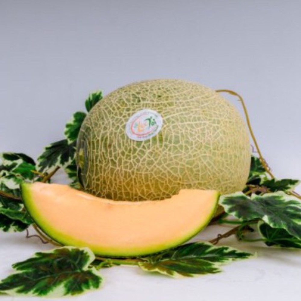 Fresh Japanese Melon Premium Manufacturing Grade ISO Certification Good Price 60 - 90% Maturity