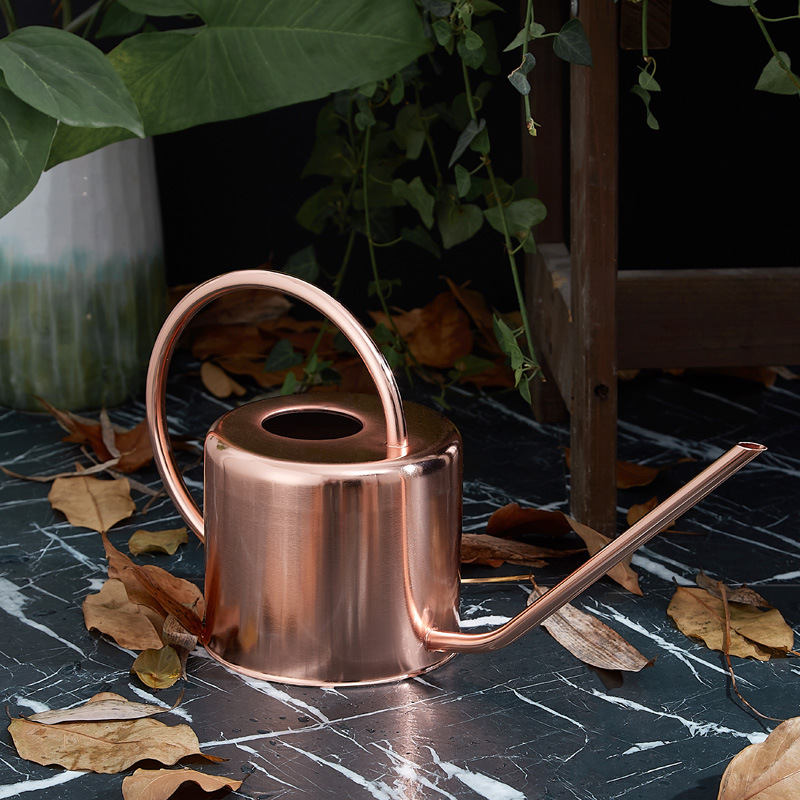 Hot sale 1L stainless steel long spout watering pot antique metal watering can