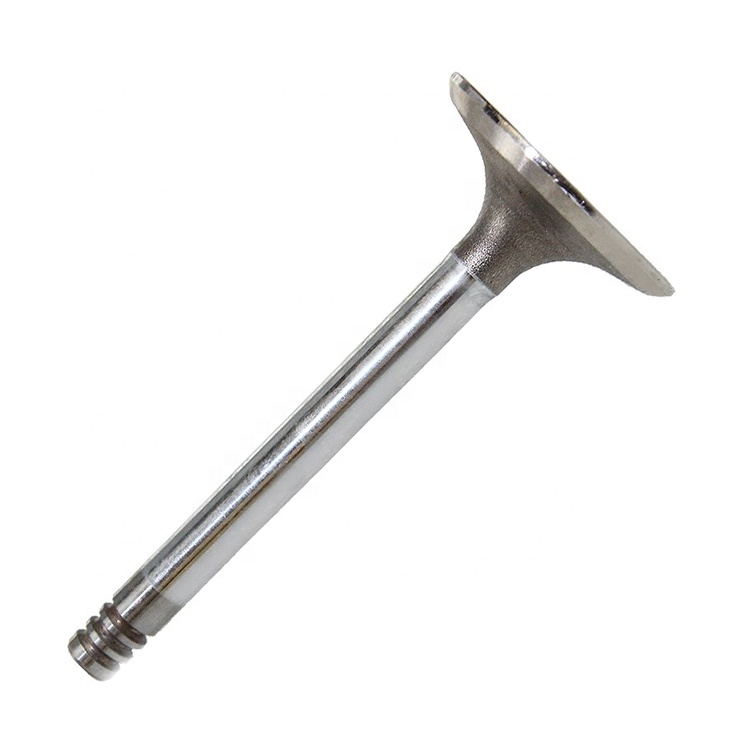 Впускной клапан двигателя для VW APOLLO, GOL, GOLF, PARATI, POINTER, SANTANA, SAVEIRO, VOYAGE, запасные части для двигателя 048109601A