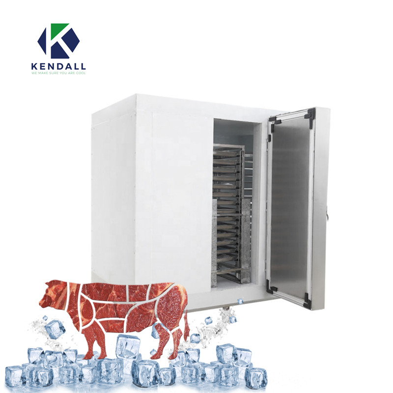 Industrial new trend solar cold storage refrigerator storage for frozen meat,fruits,vegetables