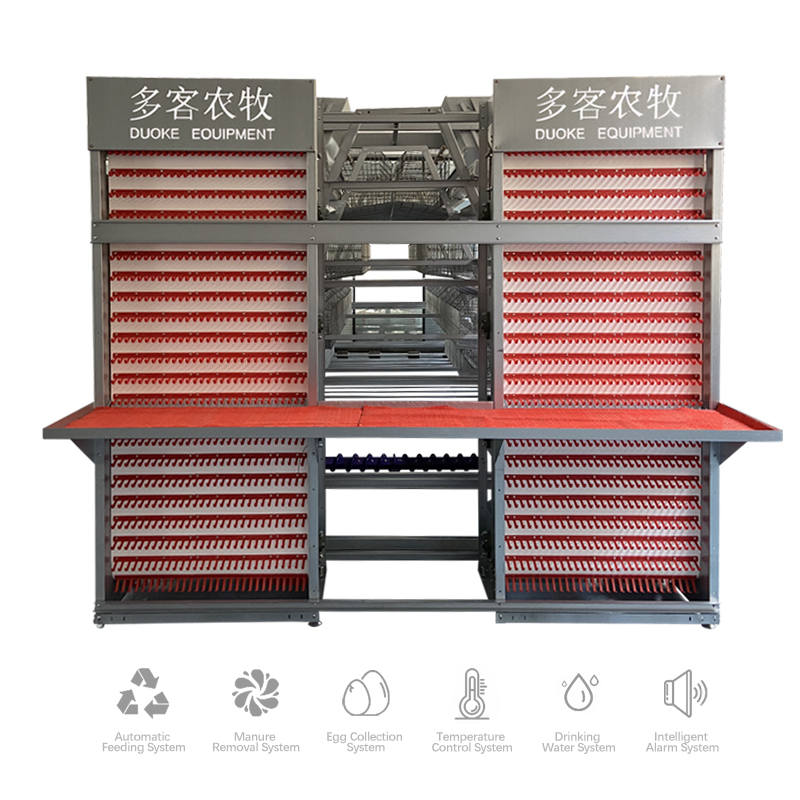Fully automatic poultry farm galvanized wire A type layer egg chicken coop battery cage system