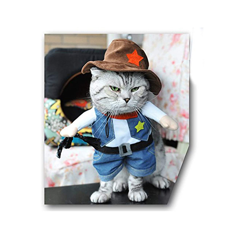 New Funny Pet Clothes Pirate Dog Cat Costume Suit Corsair