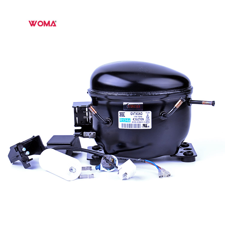 Компрессор холодильника Zanussi Zel GVY53AD GVT53AD GTH53AD GKD53AD GVY57AD GVT75AD GTT57AD 115 В/60 Гц R134a