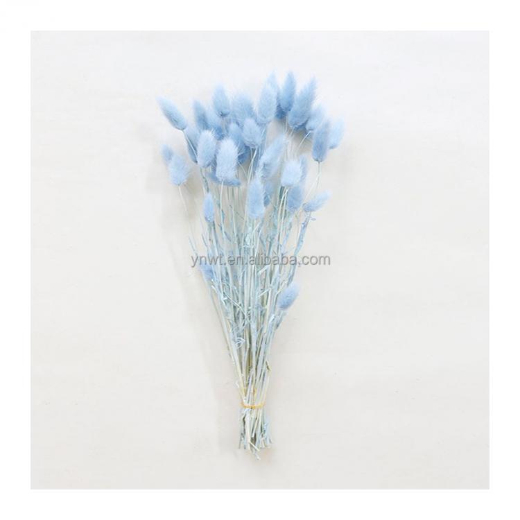Wholesale Boho Wedding Decor Large Plume Dry Pampas Grass Flower Decor Natural Real Preserved Dried Pampas Grass For Amazon