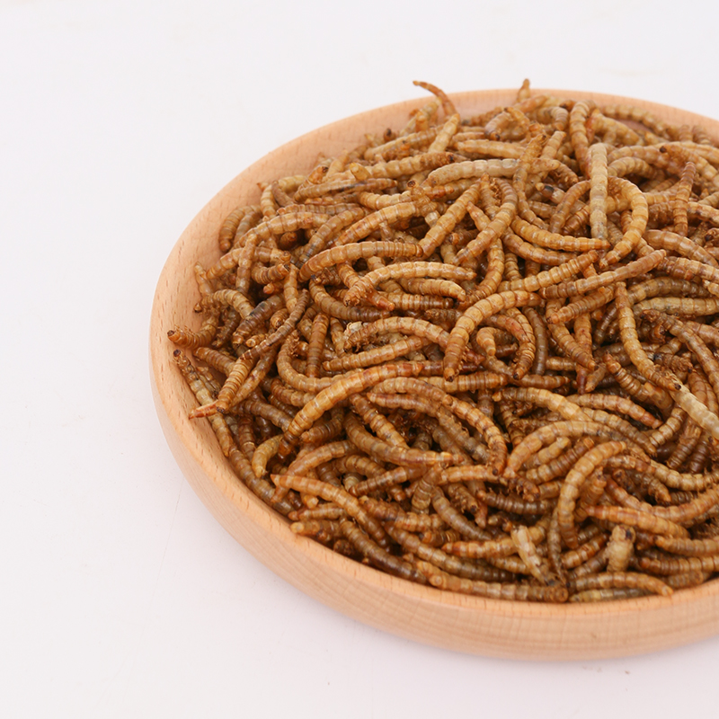 Wholesale dry mealworm pet food nutrition animal feed dried mealworm
