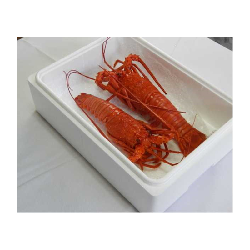 Hama steamed spiny lobster