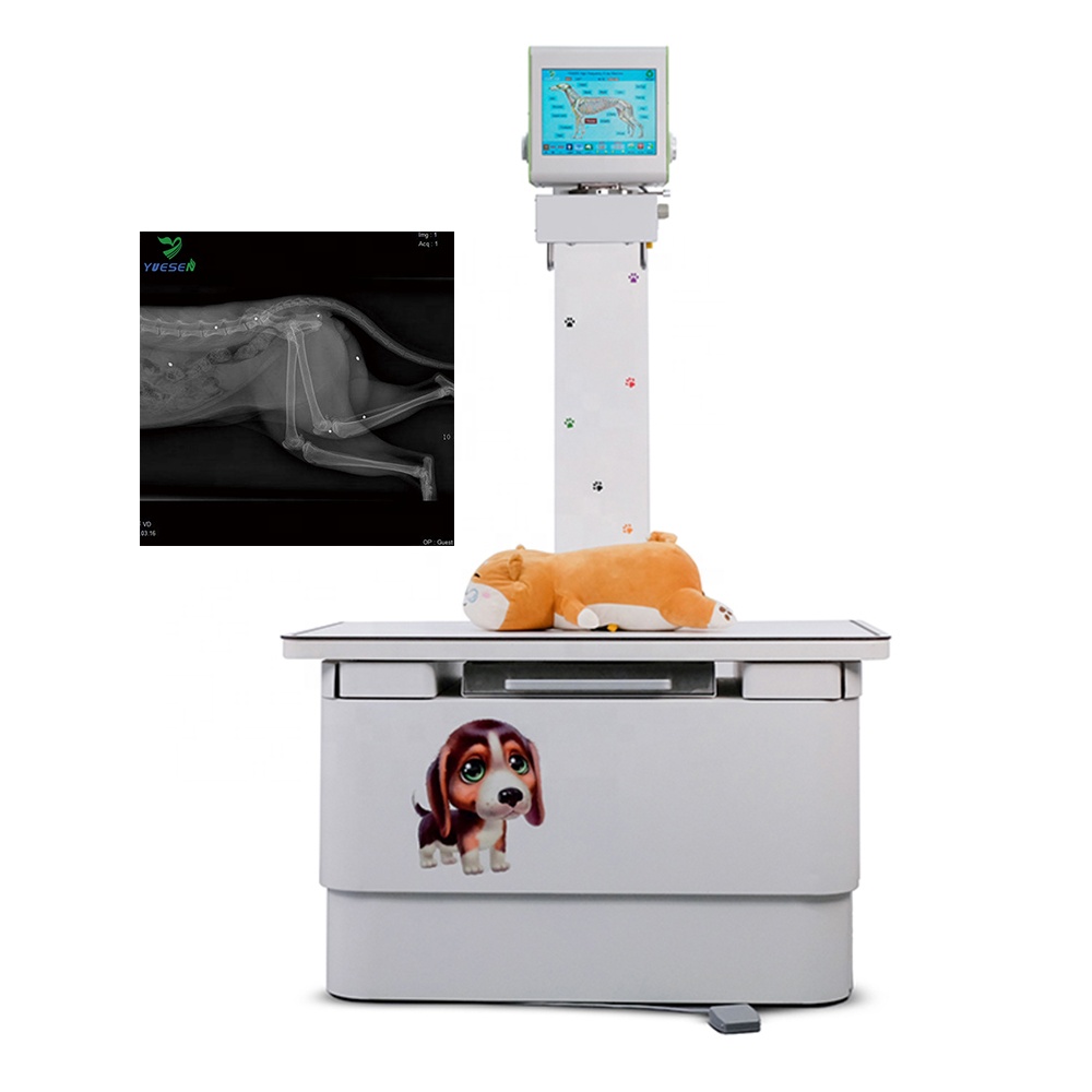 Equipo De райос X Цифровой X-Ray Veterinarios портативный рентгеновский аппарат ветеринарное образование рентгеновский аппарат