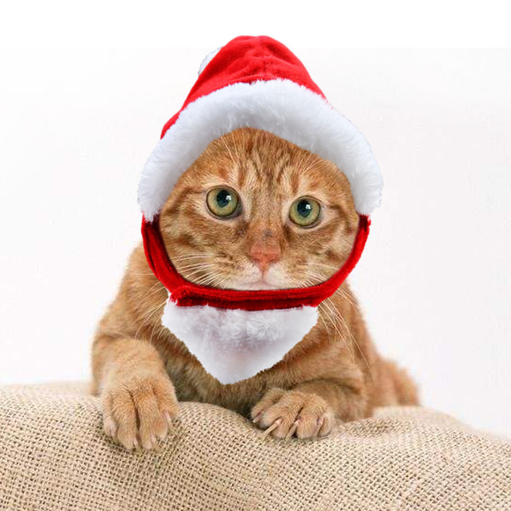 флис зима кошка Hatreindeer рога Рождество кепки пригодный для домашних животных уход за лошадьми одежда оптовая продажа