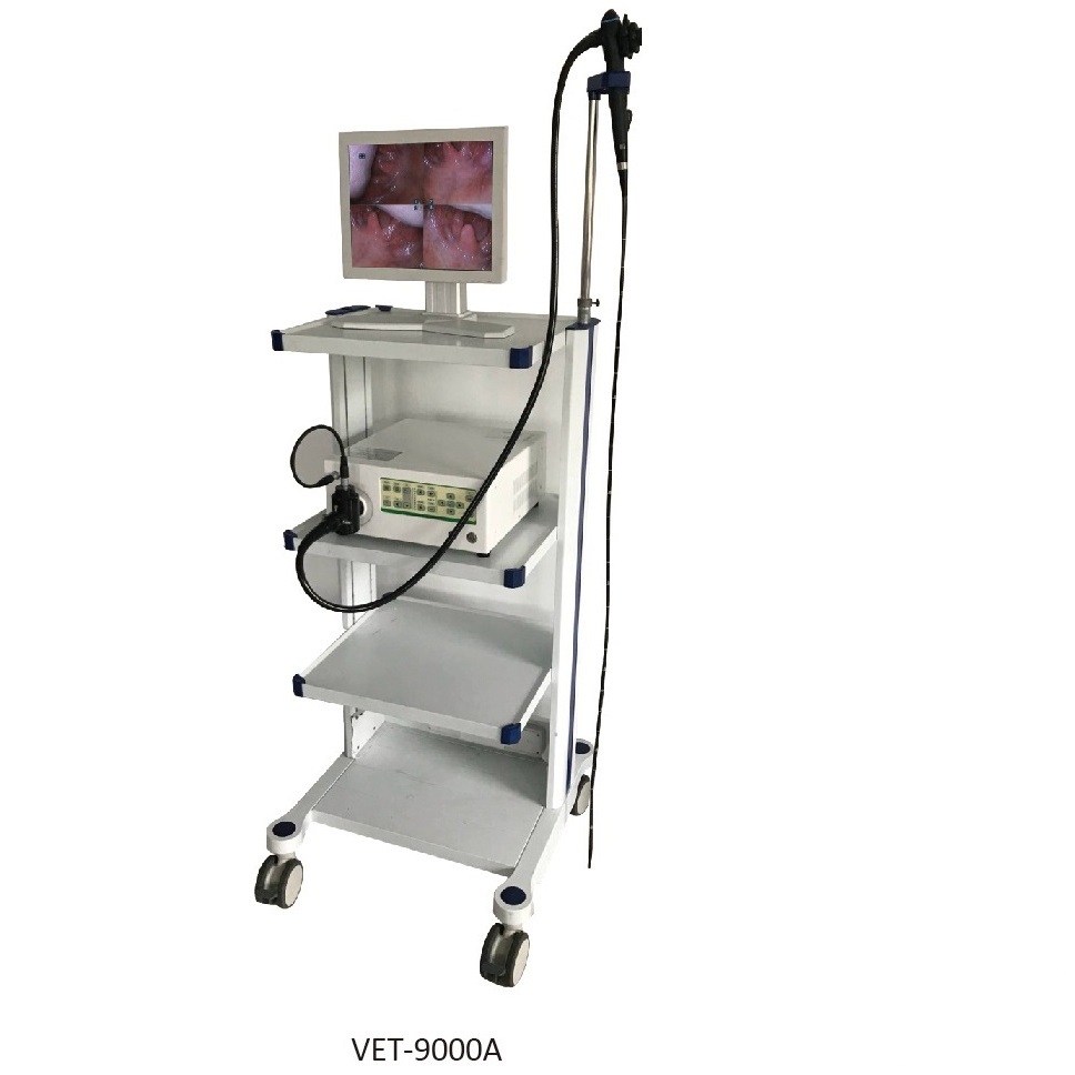 VET-9000A ветеринарный эндоскоп с высоким разрешением для эндоскопии маленьких животных