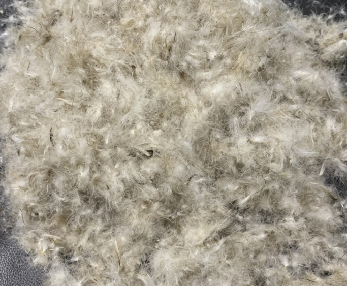 Fast Delivery In Stock Feather Filling Material 80% Washed Pure Grey duck down